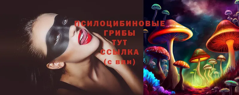 Псилоцибиновые грибы Magic Shrooms  купить   Железноводск 